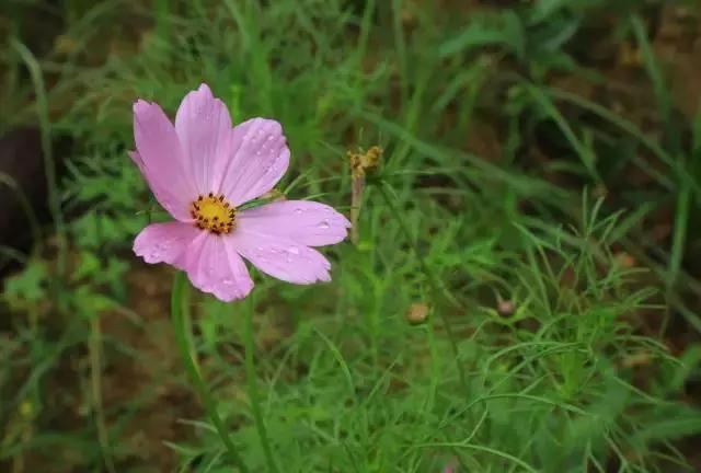 七彩丹霞和冰沟丹霞一日游,冰沟丹霞玩需要几个小时