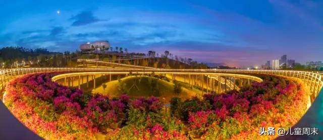 深圳中心公园足球场,深圳中心公园大草坪