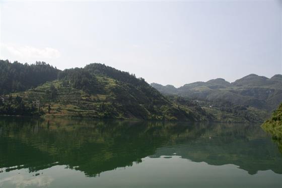 黄山的金凤凰,山沟里的金凤凰湖北