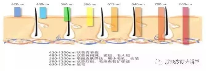 皮肤美容医生博主排行榜前十名,全国皮肤美容专家医生排名榜