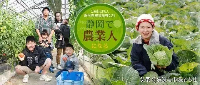 日本农业成功的主要经验,中国和日本农业差距50年