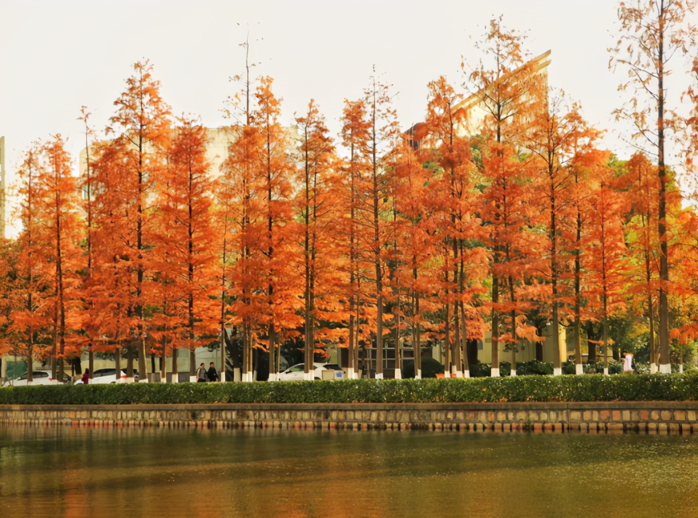 中国*产党共**创办的第一所高等学府，以城市名字命名，孙中山、毛*东泽**直接关怀！