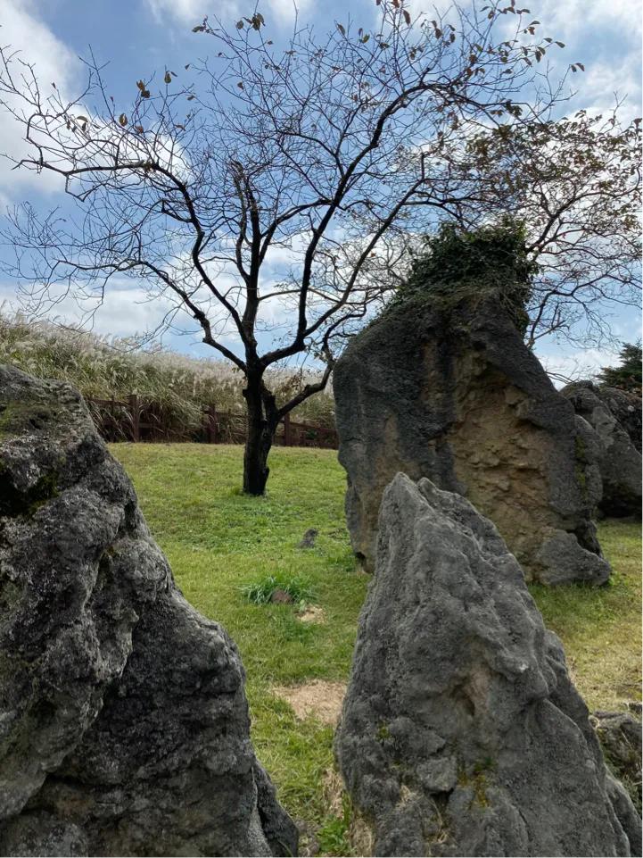 济州岛深度自由行攻略,畅游济州岛蓝牌子在哪