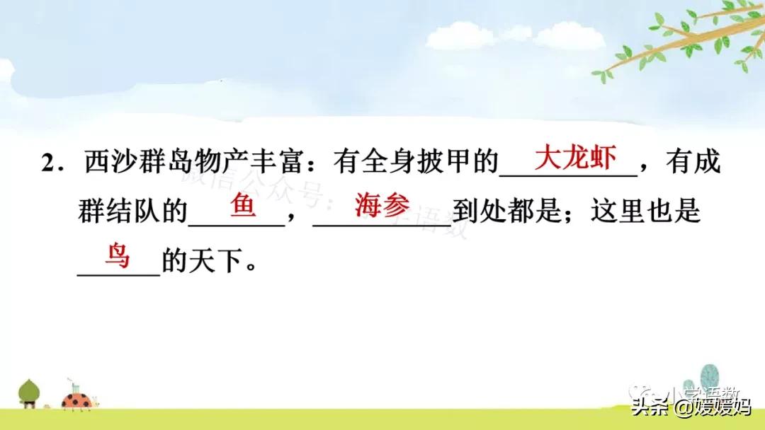 三年级第18课富饶的西沙群岛视频,三年级上册18富饶的西沙群岛笔记