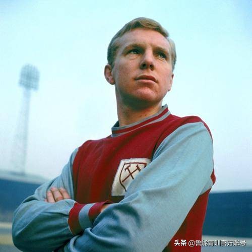 他山之石教育感悟,他山之石的新教育故事