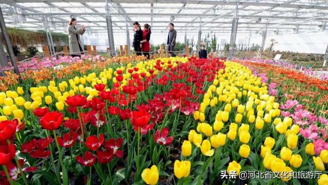 巍巍太行山滔滔洺河水,巍巍太行碧水潺潺