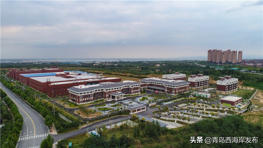 青岛正大制药,青岛企业加紧复工生产