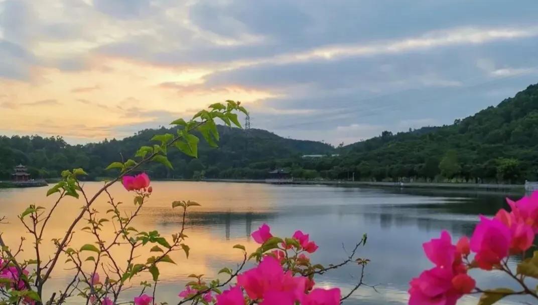 深圳免费公园哪里最好啊,深圳十大免费公园景点大全