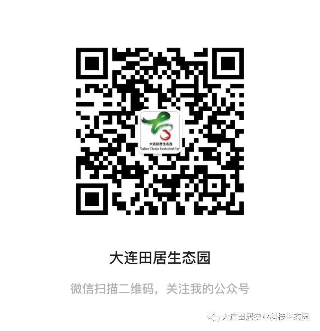 大连樱桃和其他产区樱桃口感区别,山东樱桃和大连樱桃哪个好