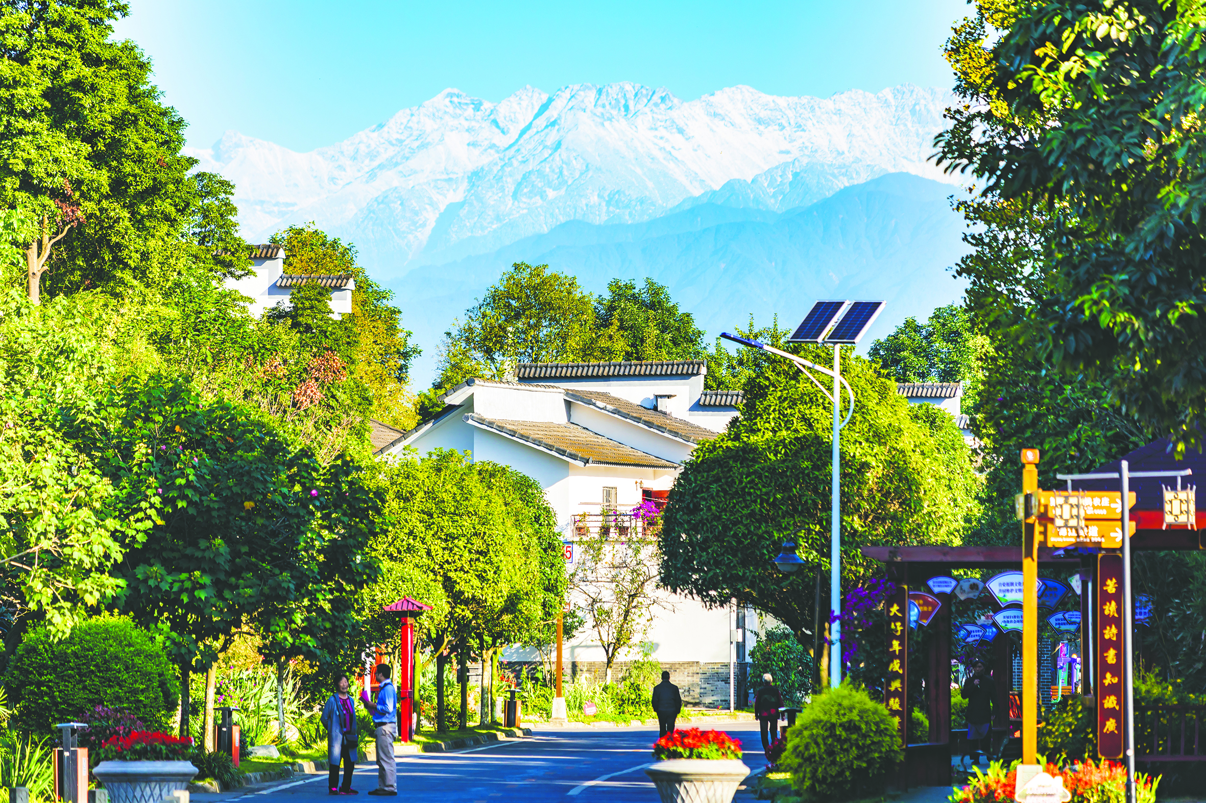 成都周边春季徒步旅游攻略,成都森林徒步旅游攻略