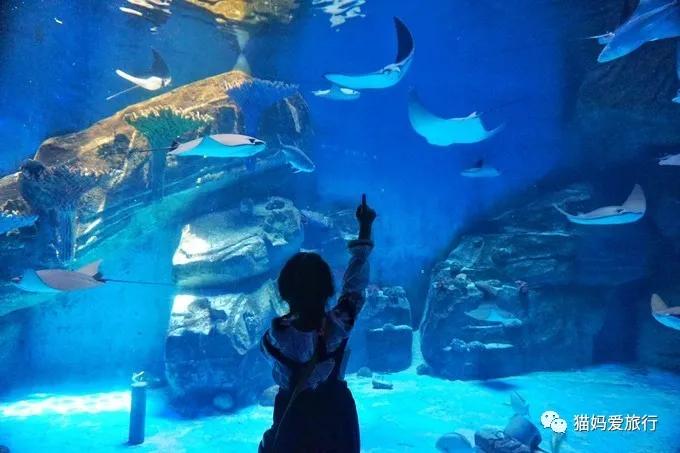 齐河附近带孩子自驾游景点,周边亲子游齐河