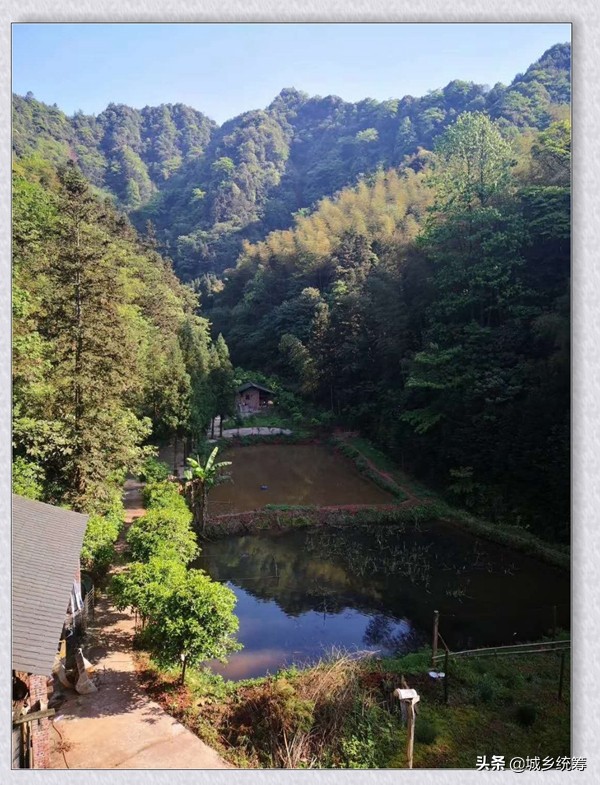 江津区中山镇石天井兄弟农家乐休闲避暑好去处