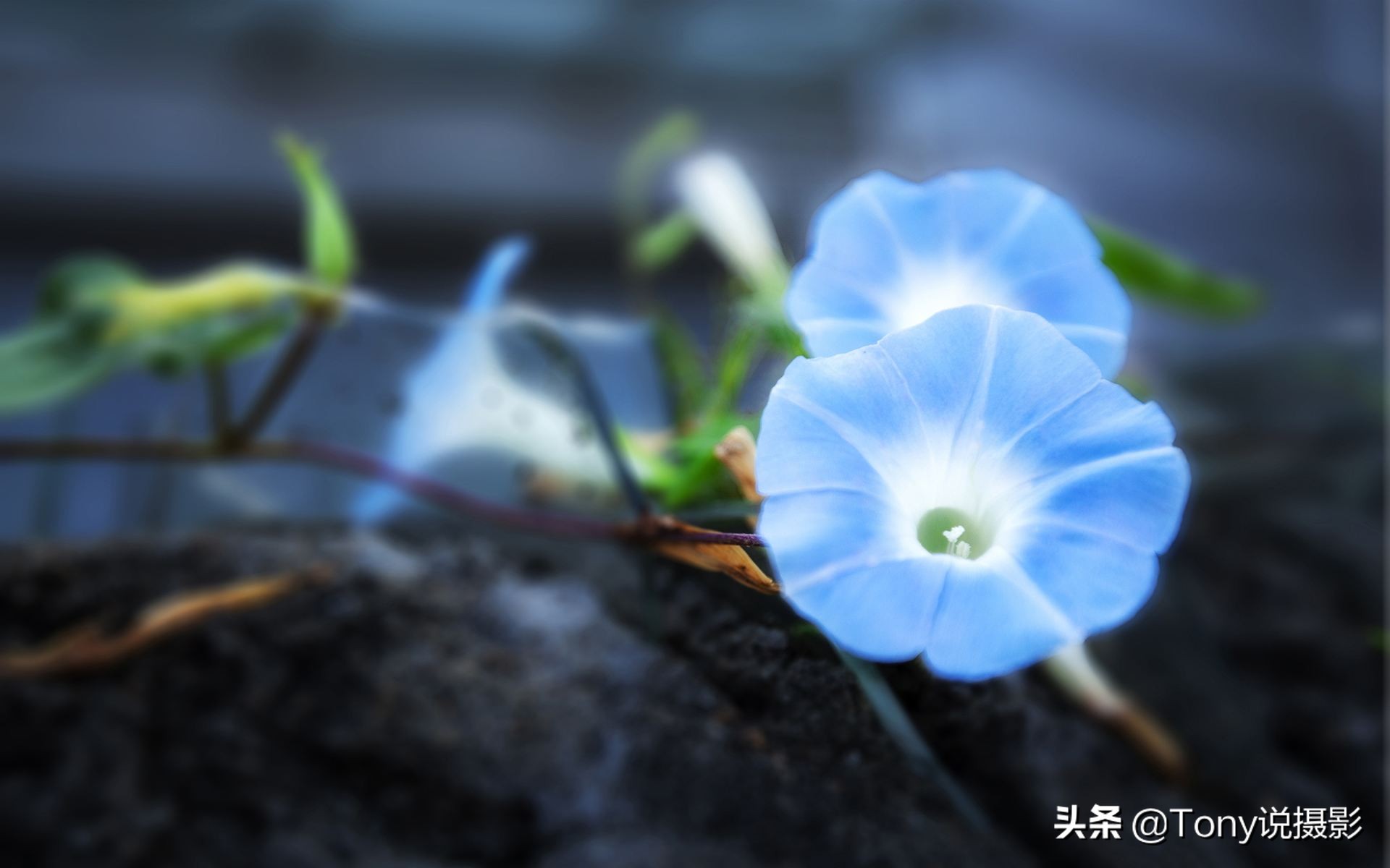 相机摄影教程和拍照技巧,摄影新手怎样选择一款相机拍照