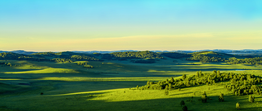 党员干部的四个涵养,党员干部增强四个自我
