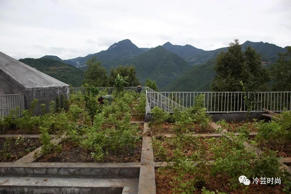 以建筑为主题的服装设计主题分析,服装设计建筑设计