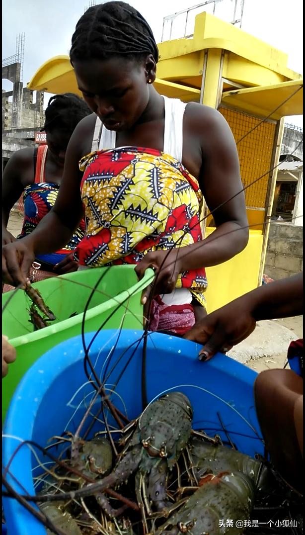 在安哥拉买海鲜回忆我在非洲安哥拉的日子102