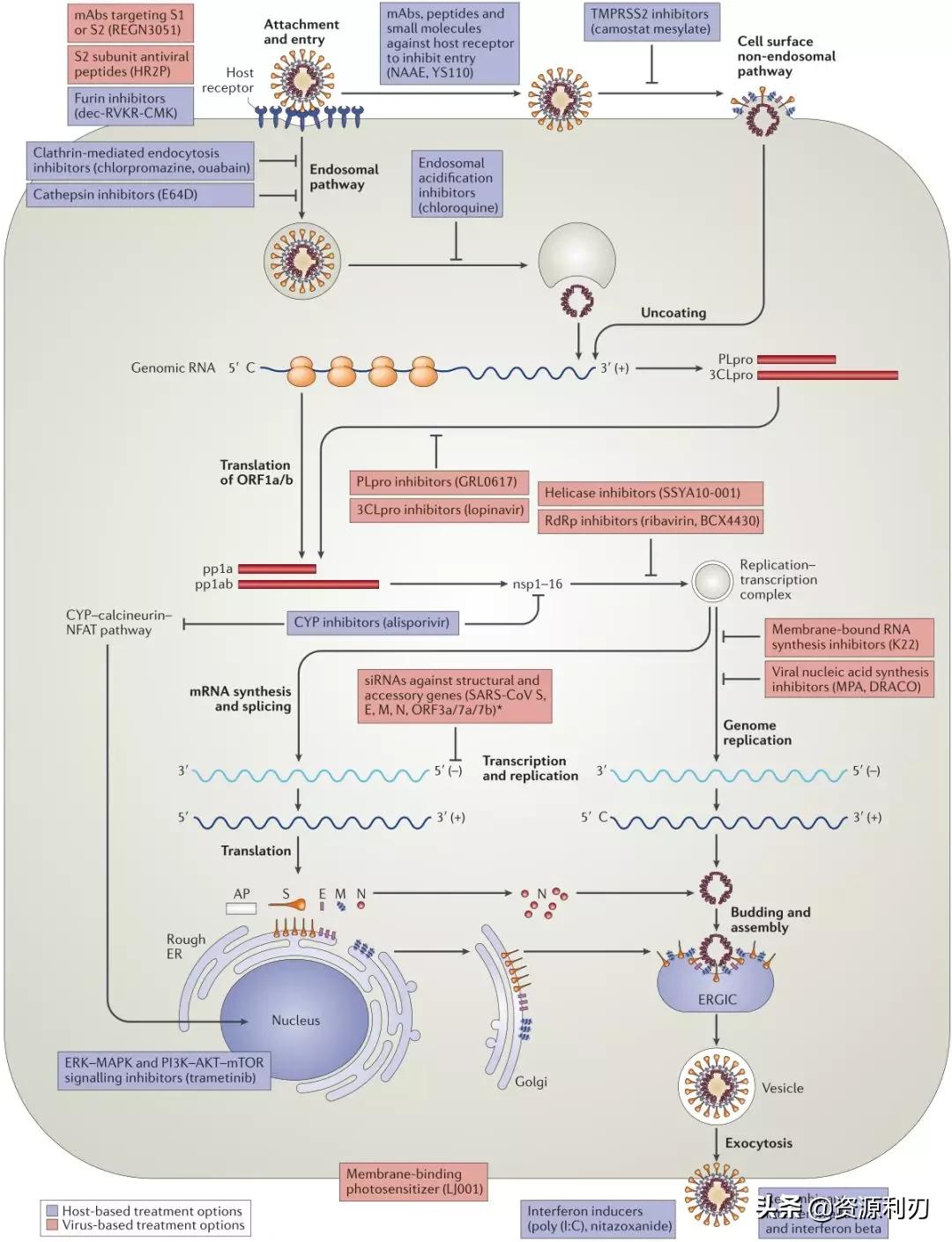 nature娌荤枟鏂板啝,nature鏉傚織鍙戣〃鏂板啝鑲虹値