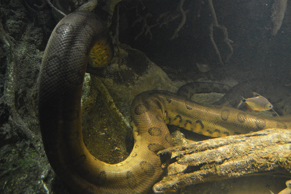 地球诞生时表面温度5000度,地球在10000亿年前发生了什么