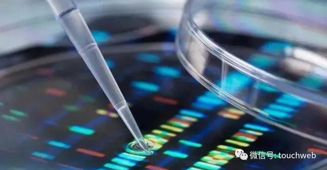 珈创生物上市,珈创生物科创