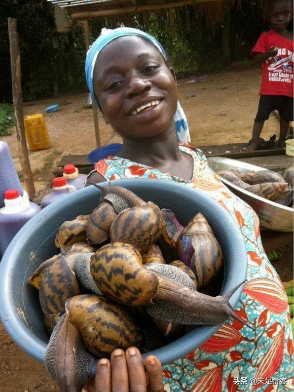 舌尖上的非洲2:什么都吃的国人却不敢吃它——“非洲大蜗牛”