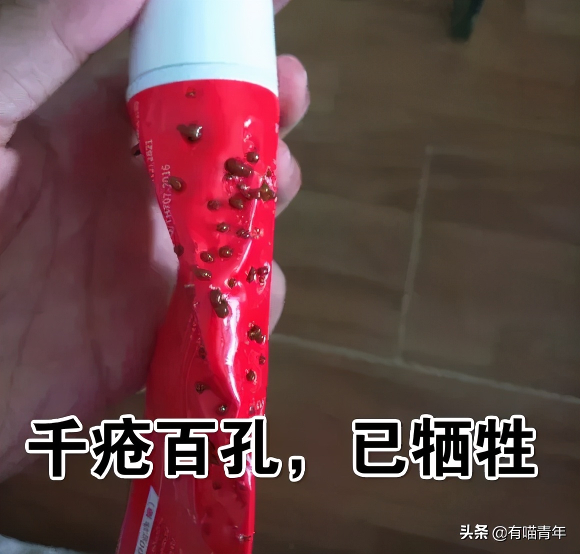 我给猫花的冤枉钱，能在广州买一套房