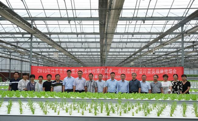江苏省叶菜产业重大技术协同推广联盟成立