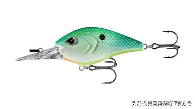 全国各地渔具展,全国渔具展2024