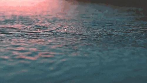 透明的淤泥已带走荷塘的清香，檀香做花蕊，晃动一寸眼前的山河