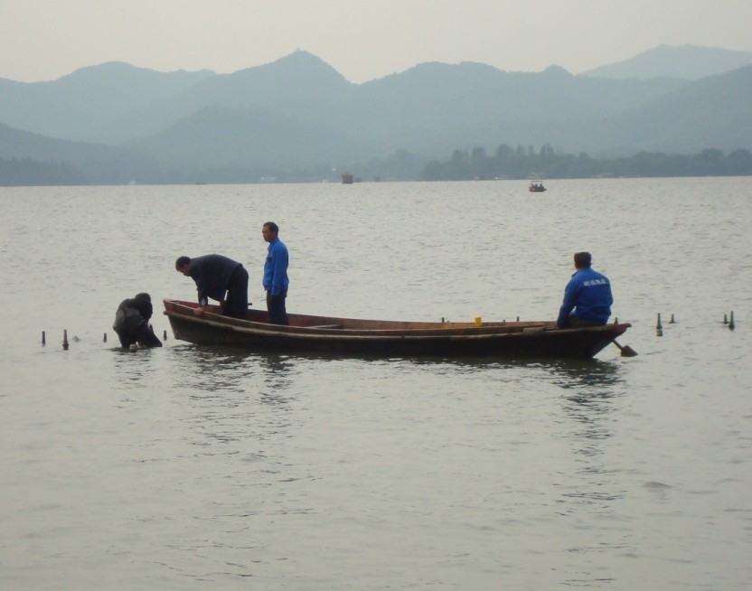 西子湖畔，船上一杯龙井香，杭州凯悦酒店以绝佳位置取胜