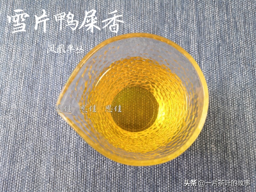 如何冲泡凤凰单枞,顶级凤凰单丛冲泡