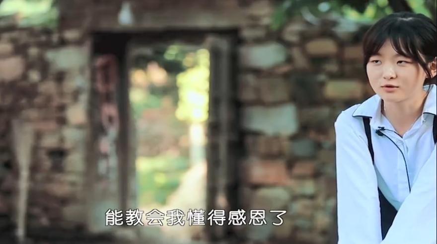 宝藏综艺后续,知识量炸裂的5部宝藏综艺