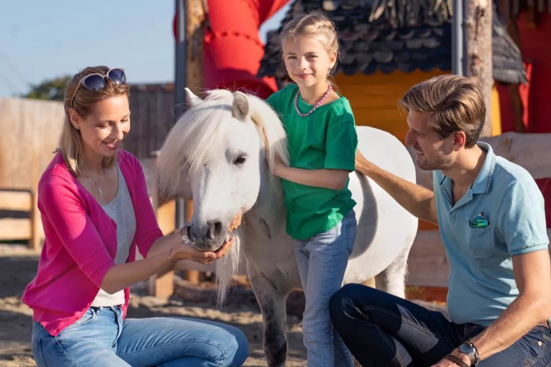 招募夏令营学员,德国留学小分队
