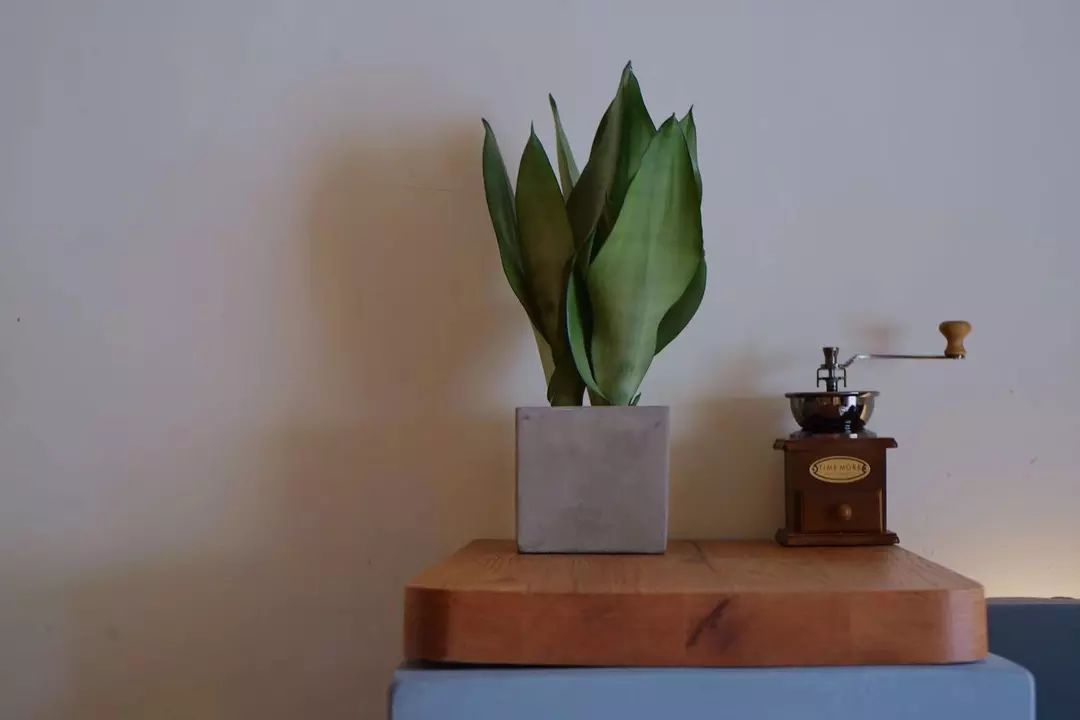 成都咖啡排名前十名,有趣的咖啡排名前十