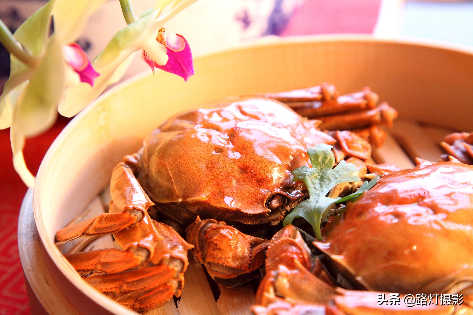 沙家浜秋色,沙家浜秋天芦苇荡