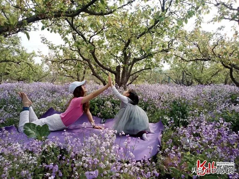 邯郸自驾游看花十大排行榜,石家庄48条春观花旅游线路