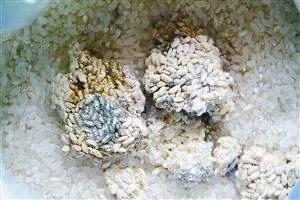 很常见的霉菌，你肯定不知道它对养鸡的危害有多大