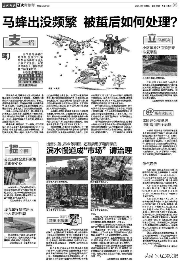 马蜂怎么防止被蜇,马蜂被蜇怎么办