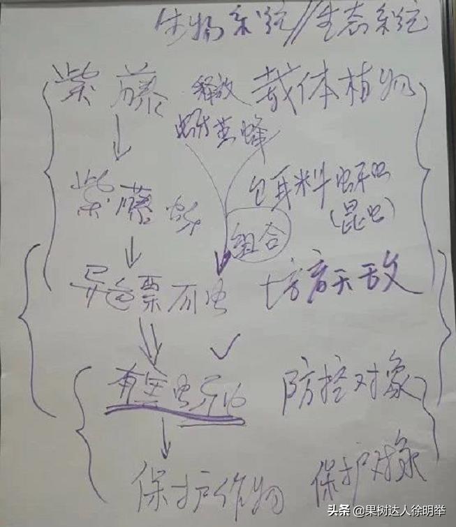 蚜虫防治药剂分析科学选择,小虫之王蚜虫怎么防