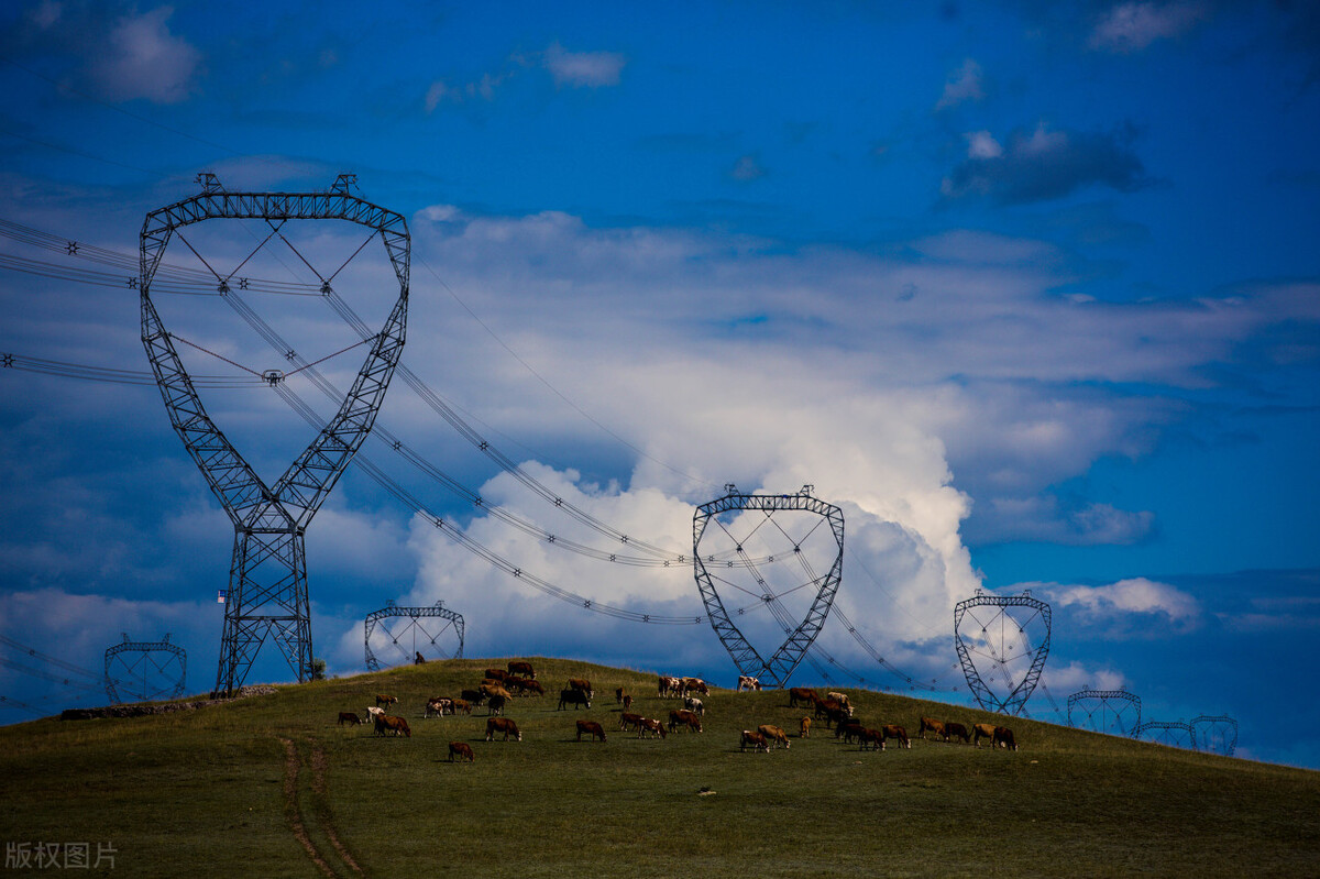 特高压龙头股排名前十名,特高压板块龙头股一览表
