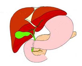 肝衰竭肝囊肿是怎么回事,肝囊肿会引起肝衰竭吗