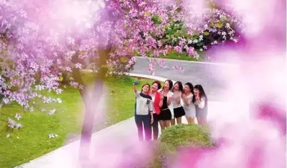 百里柳江“龙凤胎”,这块地为什么这么贵?玄机在这里