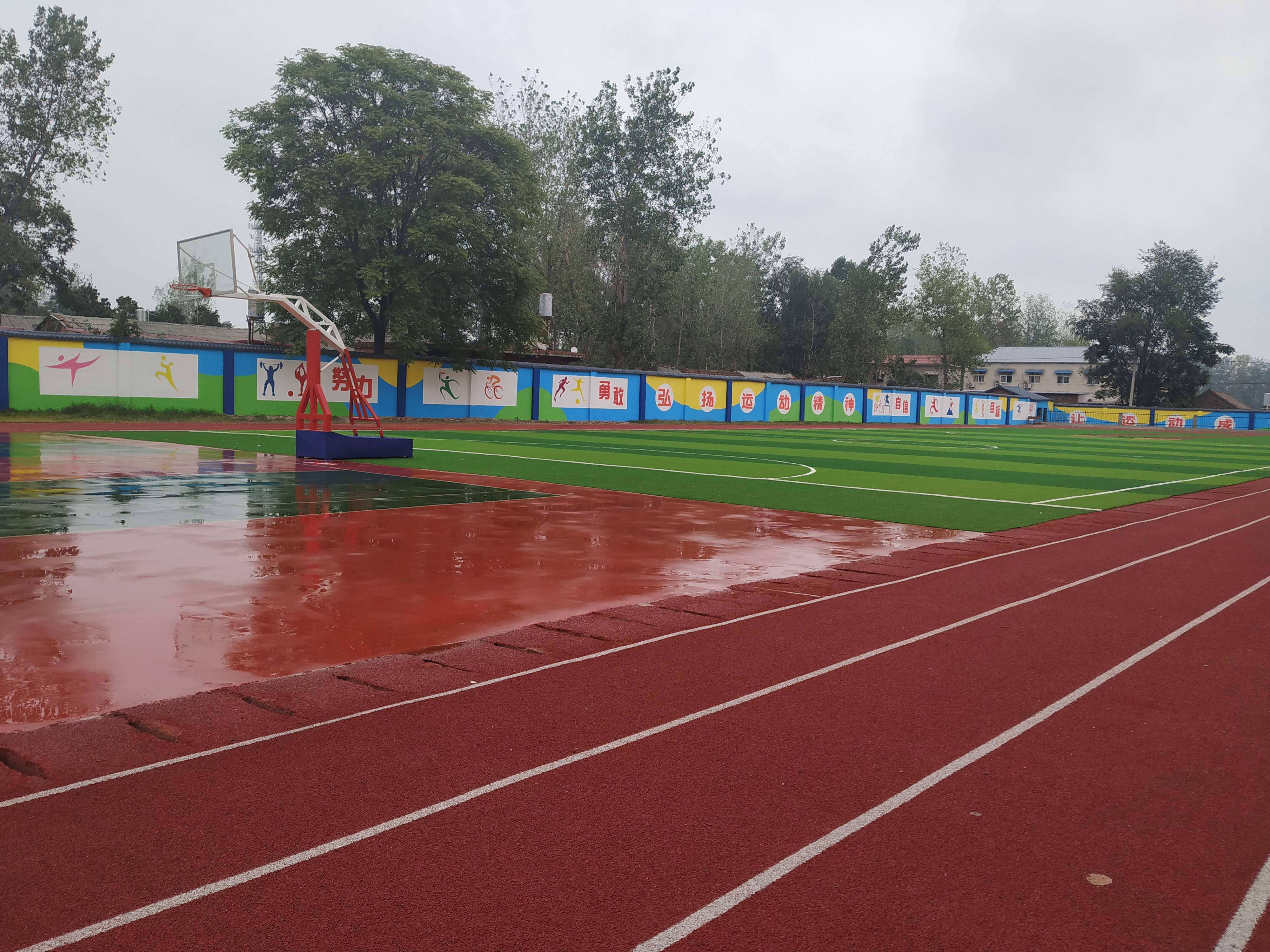 平桥区推进中小*运学**动场标准化建设，塑胶运动场比例达70%