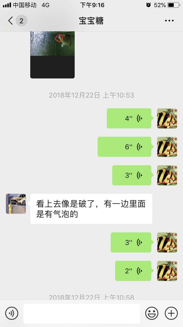 龙鱼蒙眼用蒙眼药可以治好吗,龙鱼蒙眼用蒙眼康好使吗