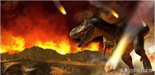 地球第六次生物大灭绝会怎么样,地球曾出现过几次物种大灭亡