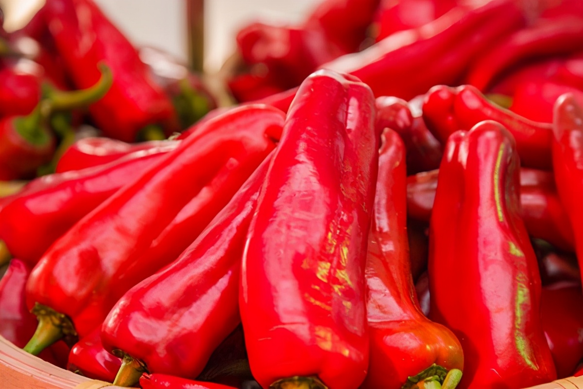 夏天狐臭味道怎么消除,夏天出汗多了有狐臭味