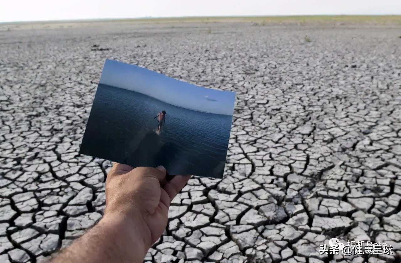 这一次不再沉默，为健康的地球发声，为未来负责