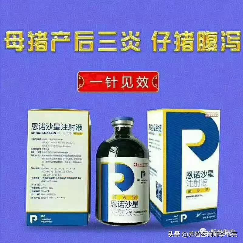母猪产后消炎头孢一次用量,母猪产后子宫消炎用什么药