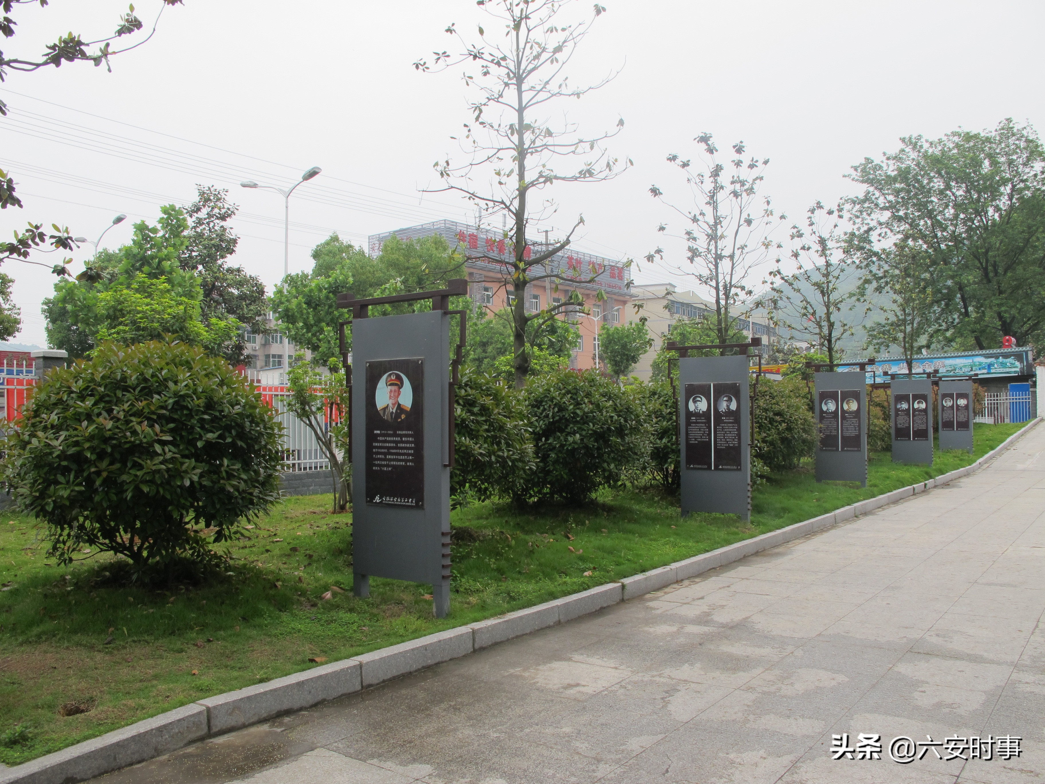 校园春意盎然,校园春意荡漾