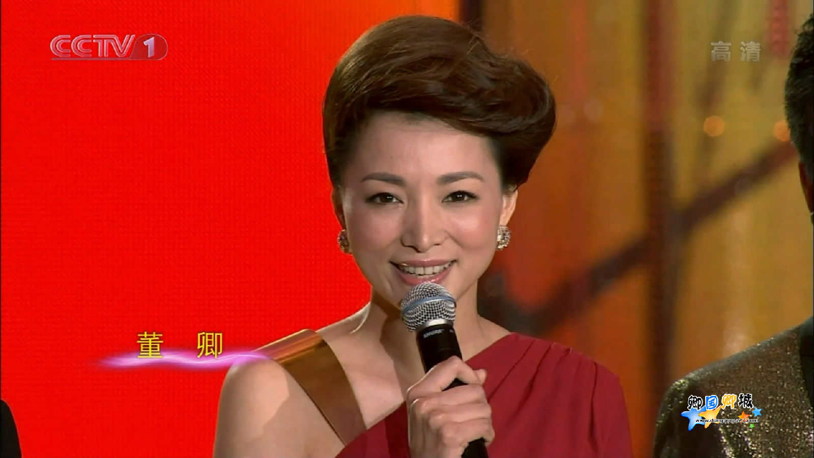 董卿主持节目全集完整版,周涛董卿同台主持的视频