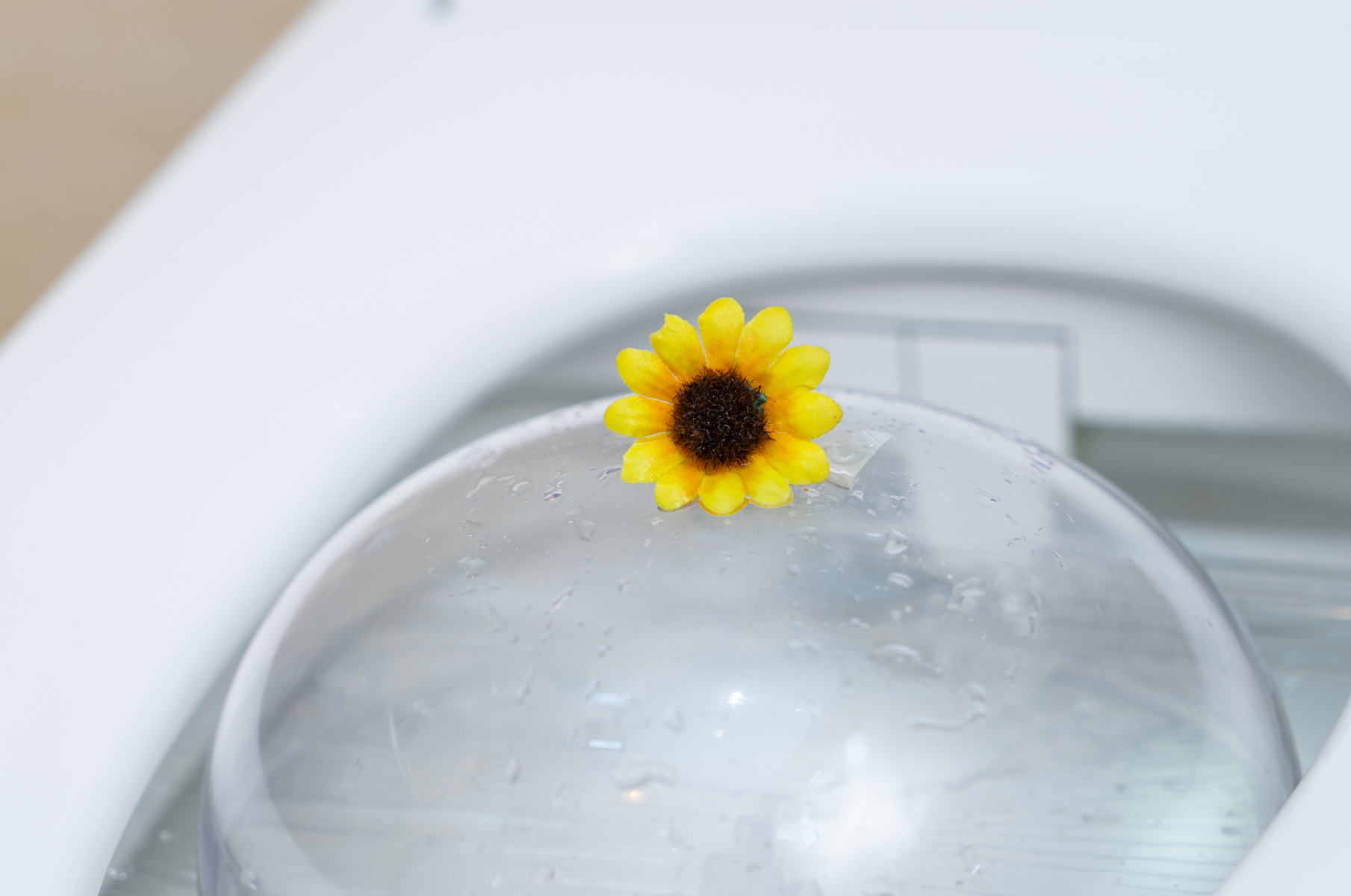 好用的智能马桶真实感受,用过智能马桶的感受是怎样